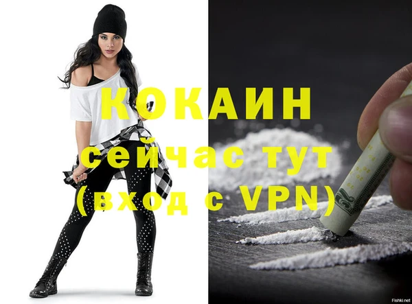 винт Лабытнанги
