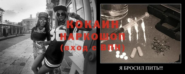 винт Лабытнанги