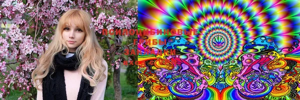 прущие крисы Кукмор