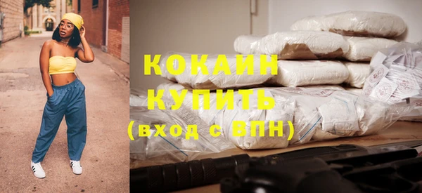 винт Лабытнанги