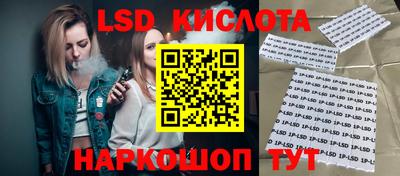 прущие грибы Ирбит