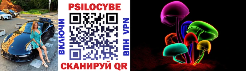 Псилоцибиновые грибы Cubensis  Малгобек 