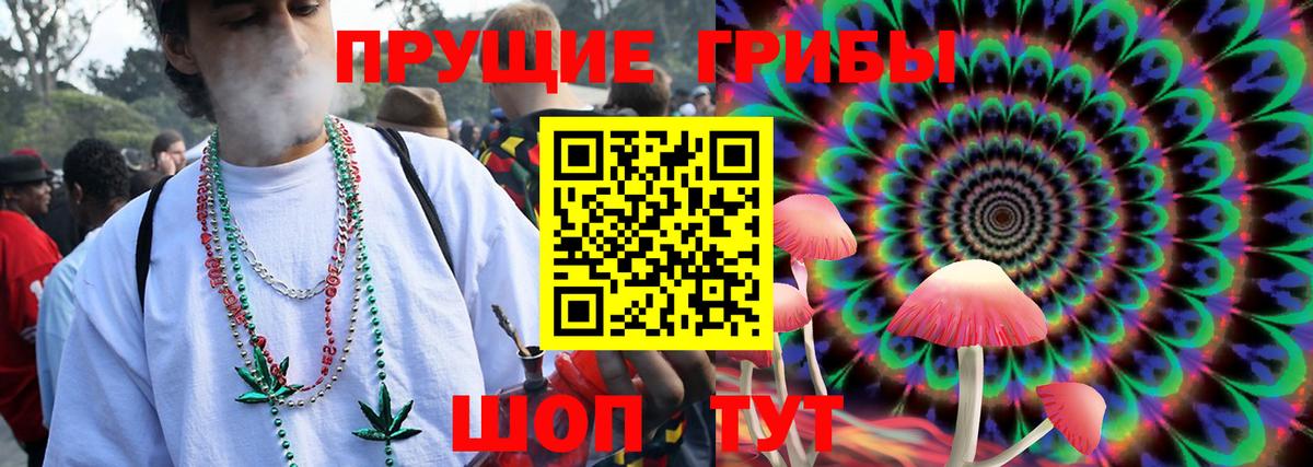 Псилоцибиновые грибы Psilocybine cubensis  Вход с VPN  Псилоцибиновые грибы ЛСД  Малгобек 